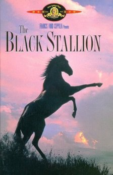 A picture of the movie The Black Stallion.
