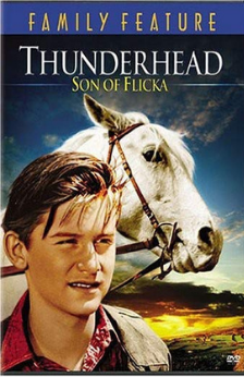 A picture of the movie Thunderhead: Son of FLicka.