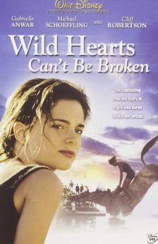 A picture of the movie Wild Hearts Can't Be Broken.