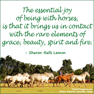 A picture of horses galloping and quote "The essential joy of being with horses, is that it brings us in contact with the rare elements of grace, beauty, spirit, and fire." by Sharon Ralls Lemon