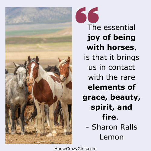 A picture of horses galloping and quote "The essential joy of being with horses, is that it brings us in contact with the rare elements of grace, beauty, spirit, and fire." by Sharon Ralls Lemon