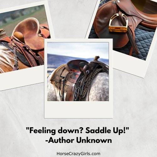 A picture of a horse wearing a western saddle with the quote "Feeling down? Saddle Up!" - Author Unknown