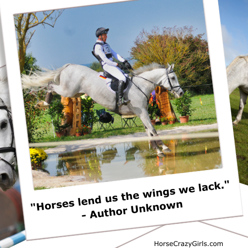 A girl riding a horse over a jump with the quote "Horses lend us the wings we lack." - Author Unknown