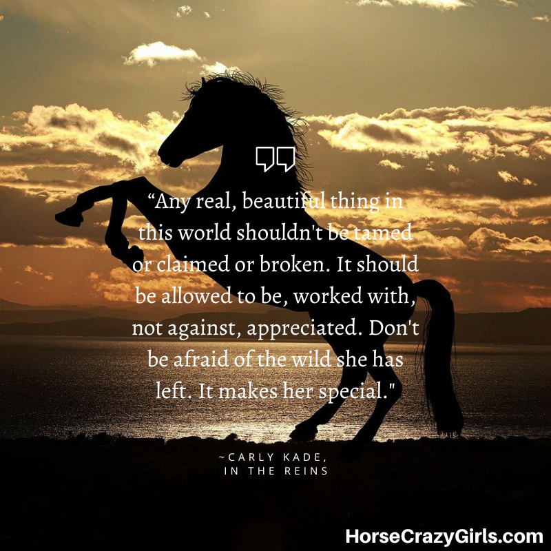 Riding A Horse Sayings