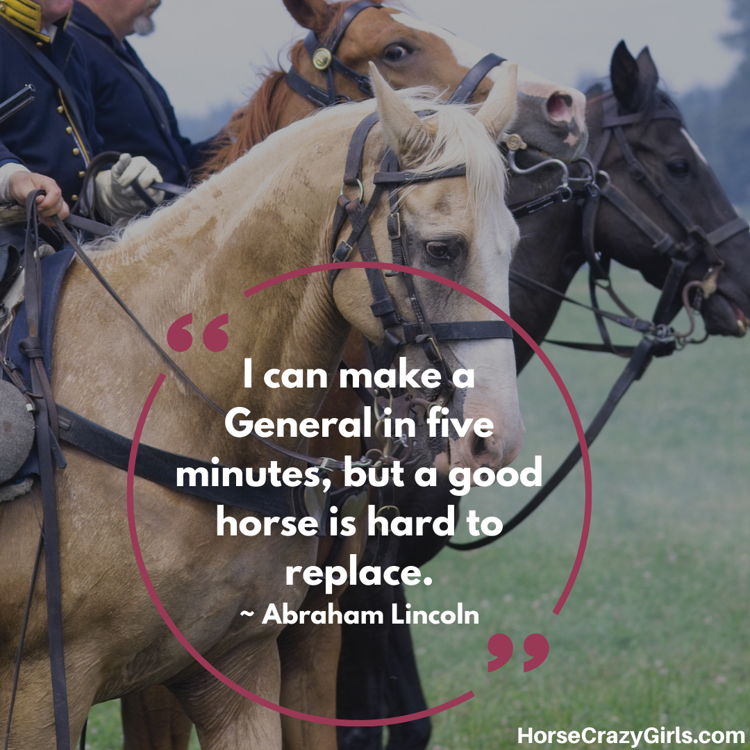 An image of three horses at a war reenactment with the quote “I can make a General in five minutes, but a good horse is hard to replace.” ~Abraham Lincoln