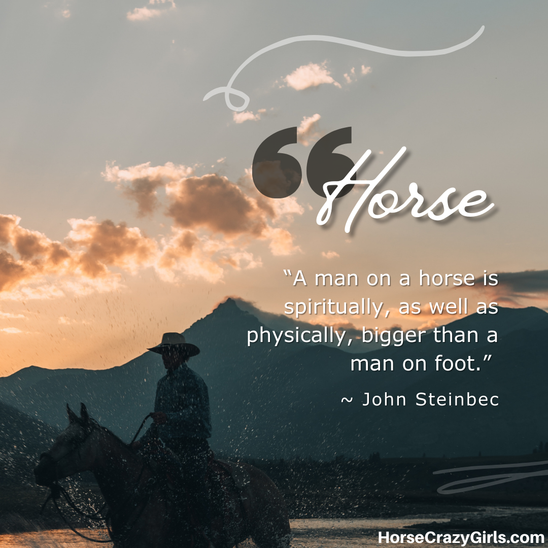 An silhouette image of a cowboy on a horse with the mountains behind them with the quote “No philosophers so thoroughly comprehend us as dogs and horses.” ~ Herman Melville