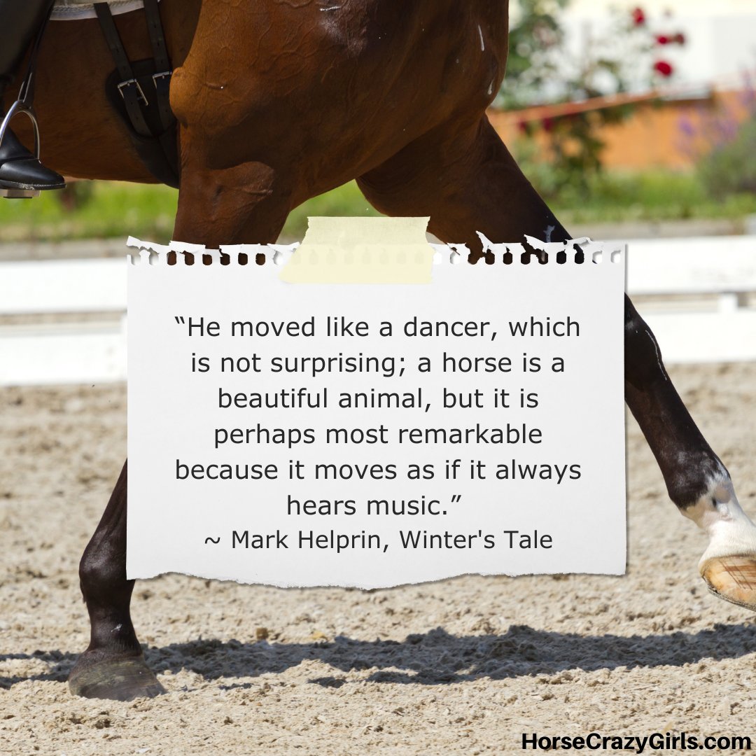 A picture of a horse doing dressage with the quote “He moved like a dancer, which is not surprising; a horse is a beautiful animal, but it is perhaps most remarkable because it moves as if it always hears music.” ~Mark Helprin, Winter's Tale