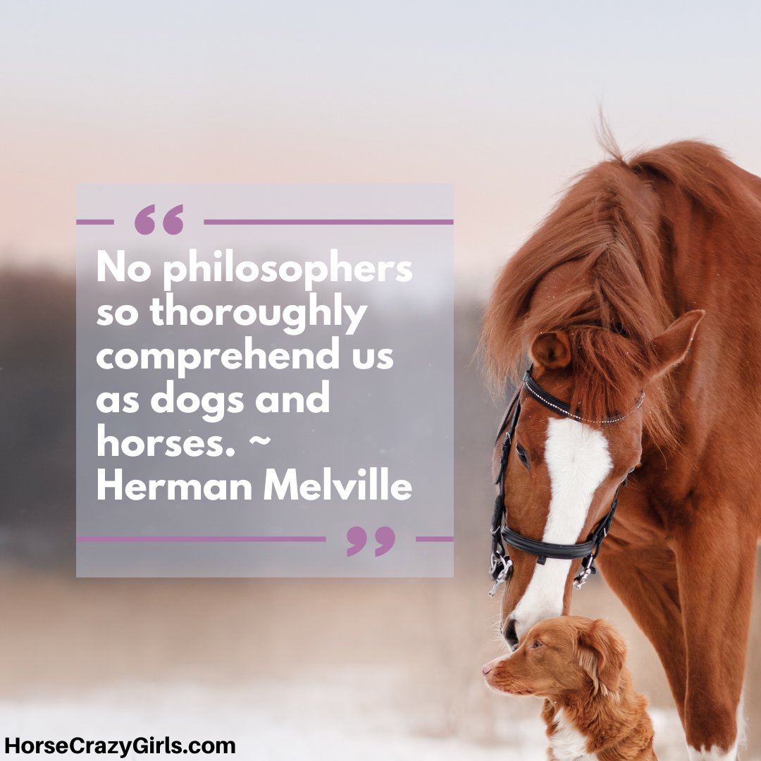 A picture of a horse with a dog and the quote “No philosophers so thoroughly comprehend us as dogs and horses.” ~ Herman Melville