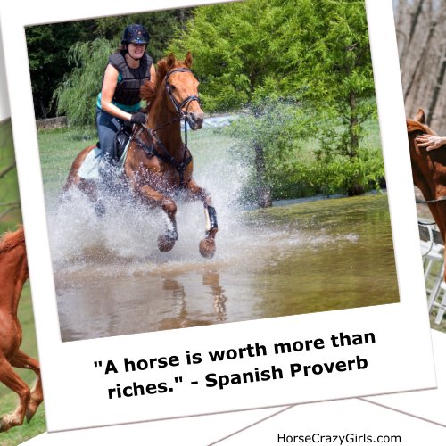 An image of a brown horse on a field with the quote "A horse is worth more than riches. ~Spanish Proverb