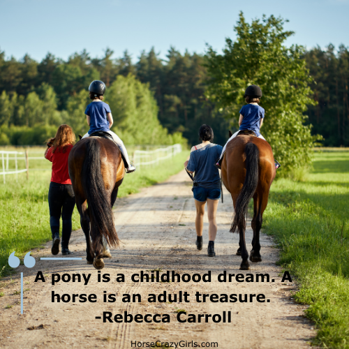 A picture of one girl riding a horse and another looking up to her with the quote "A pony is a childhood dream. A horse is an adult treasure." ~Rebecca Carroll