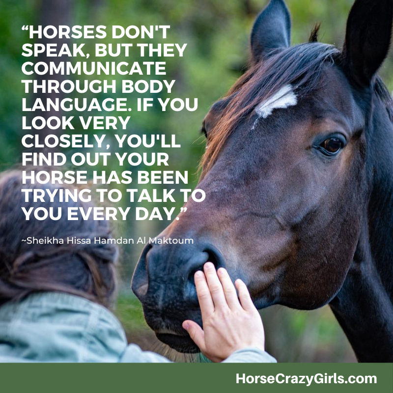 “Horses don't speak, but they communicate through body language. If you look very closely, you'll find out your horse has been trying to talk to you every day.” ~Sheikha Hissa Hamdan Al Maktoum
