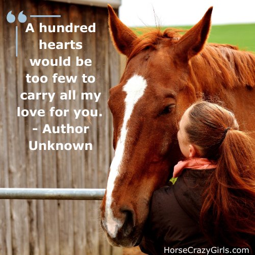 A young girl holding a horse's face between her hands with the quote "A hundred hearts would be too few to carry all my love for you" - Author Unknown