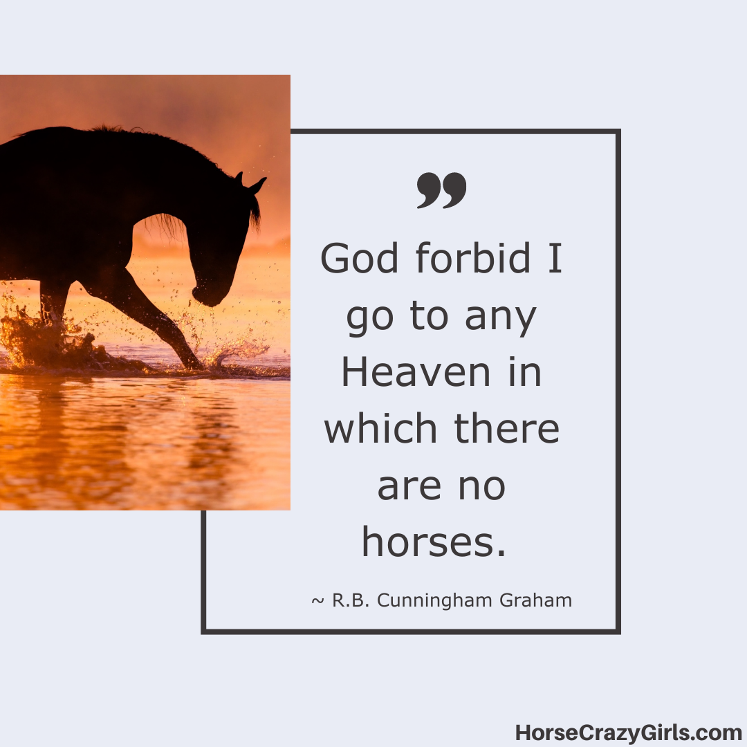 A silhouette image of a horse in water with the quote “God forbid I go to any Heaven in which there are no horses.” ~R.B. Cunningham Graham