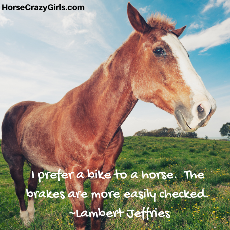 A picture of a brown horse with the quote "I prefer a bike to a horse.  The brakes are more easily checked."  ~Lambert Jeffries