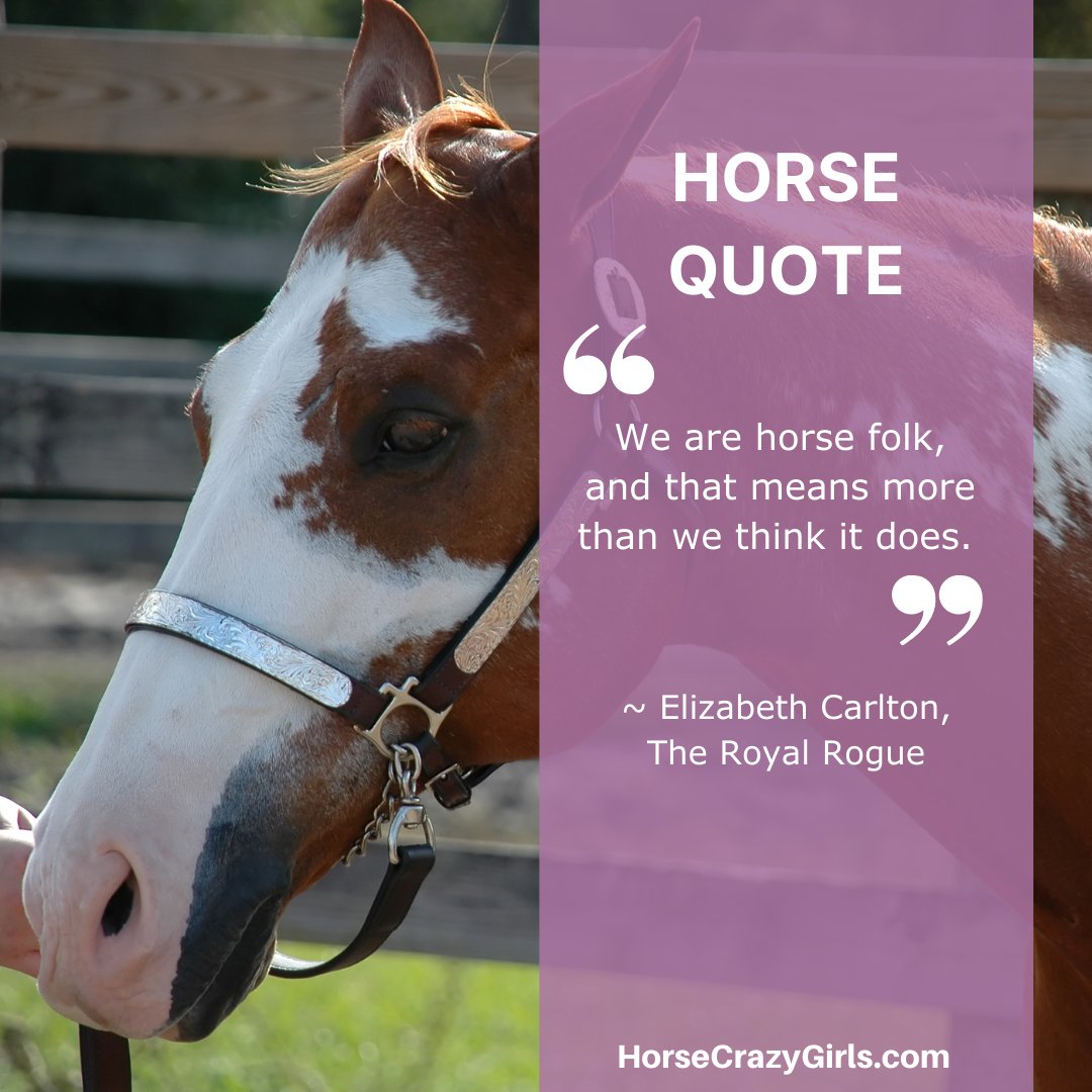 A closeup image of a horse with the quote “We are horse folk, and that means more than we think it does.” ~ Elizabeth Carlton, The Royal Rogue