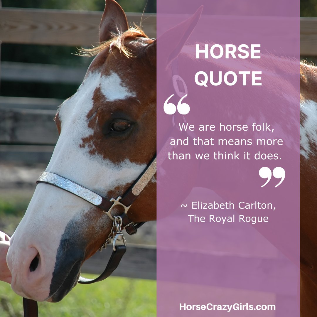 A closeup image of a paint horse with the quote “We are horse folk, and that means more than we think it does.” ~ Elizabeth Carlton, The Royal Rogue