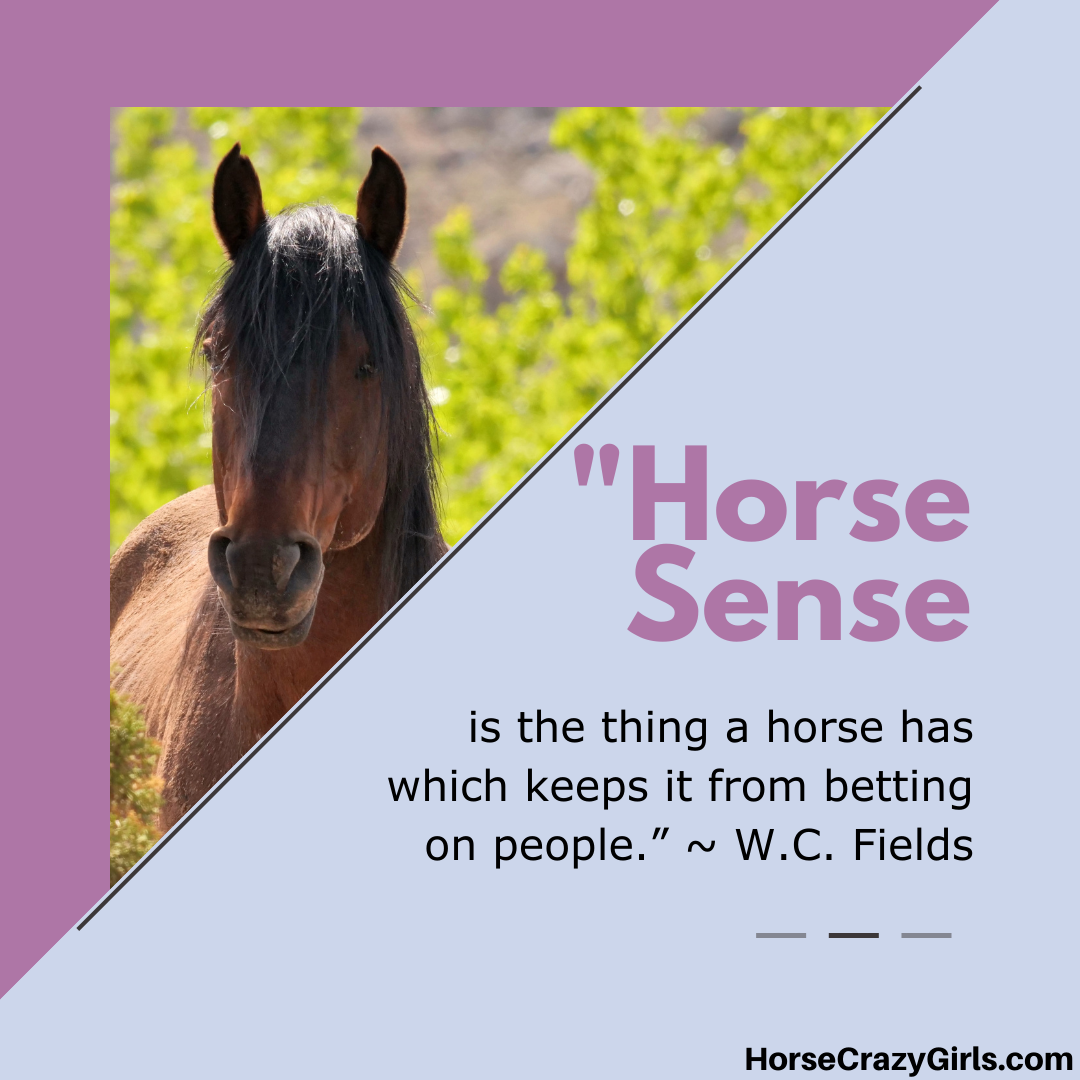 An image of a horse on a field with the quote “Horse sense is the thing a horse has which keeps it from betting on people.” ~W.C. Fields