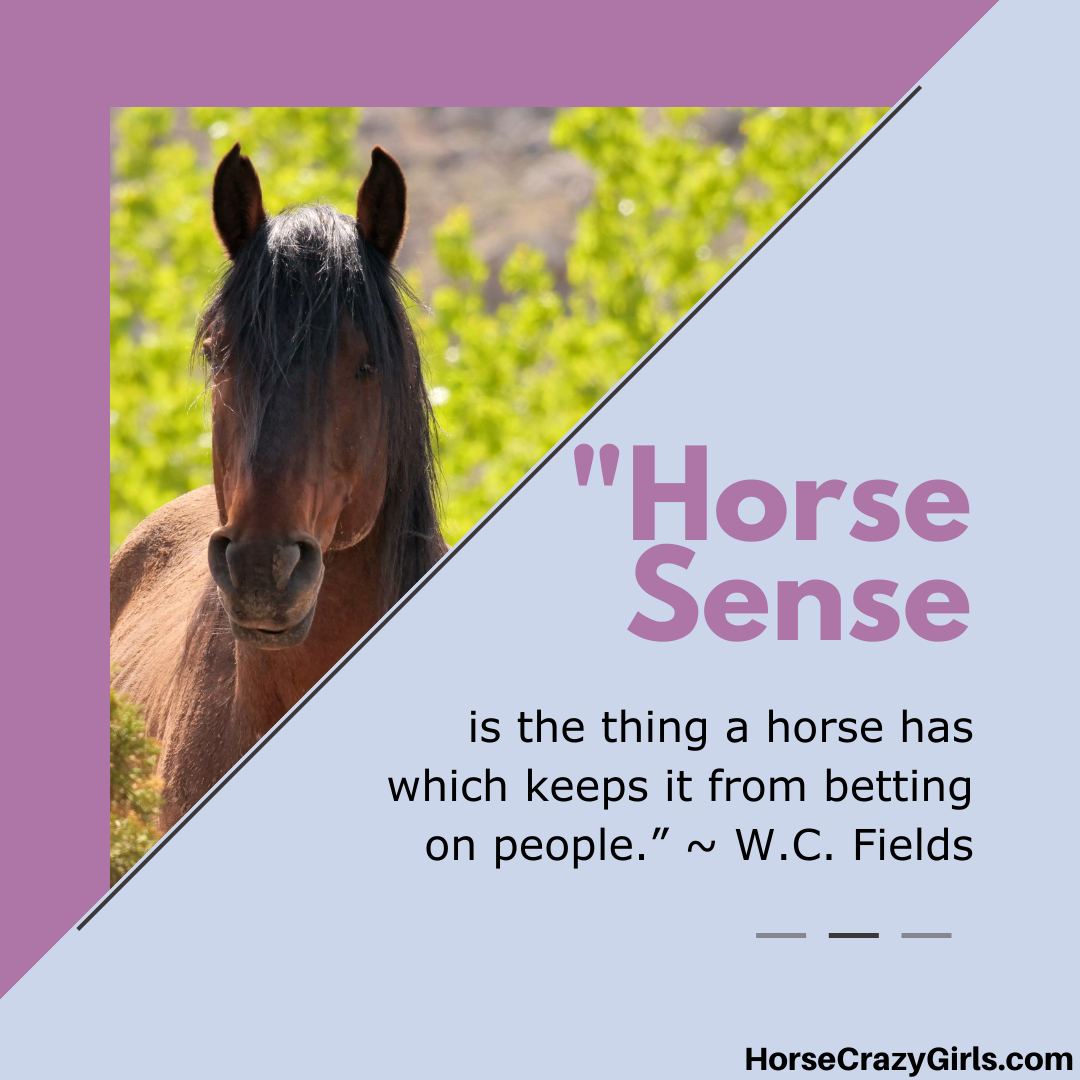 An image of a bay horse on a field with the quote “Horse sense is the thing a horse has which keeps it from betting on people.” ~W.C. Fields