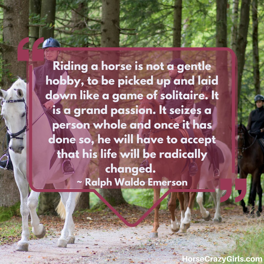 An image of people on a trail ride with the quote “Riding a horse is not a gentle hobby, to be picked up and laid down like a game of solitaire.” ~Ralph Waldo Emerson