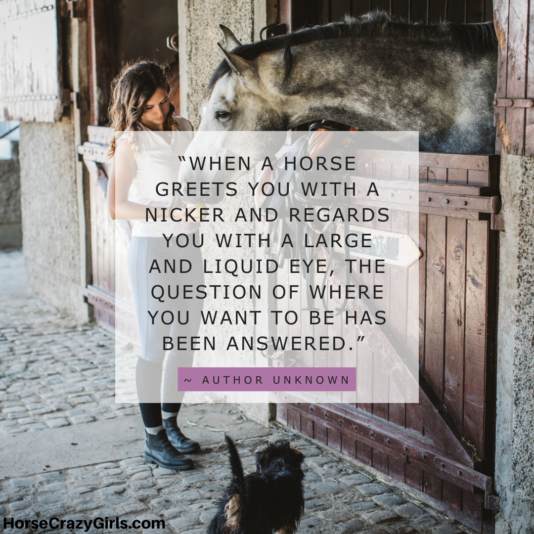 A picture of a girl visit her horse in a stable with the quote “When a horse greets you with a nicker and regards you with a large and liquid eye...” ~ Author Unknown