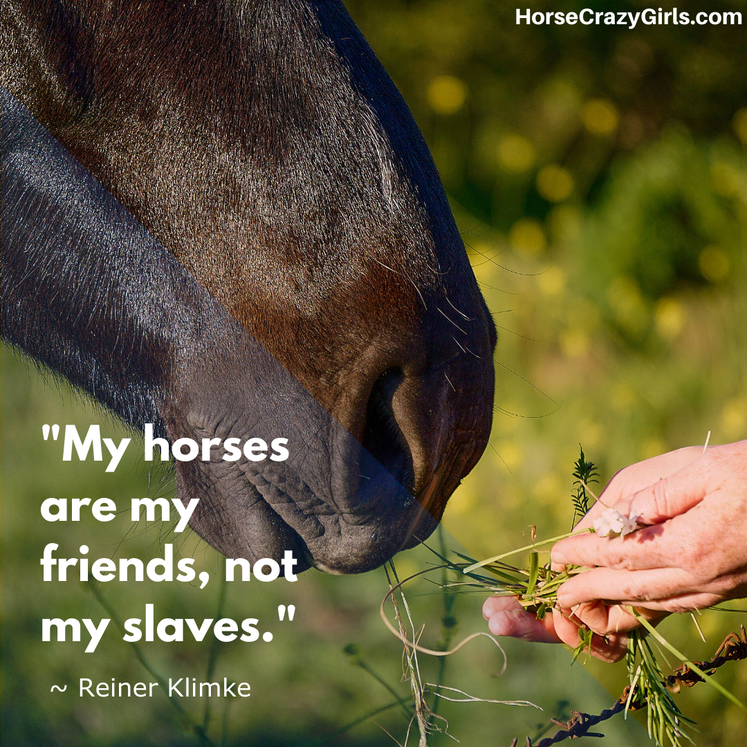 A picture of a hand feeding a horse grass with the quote "My horses are my friends, not my slaves." ~ Reiner Klimke
