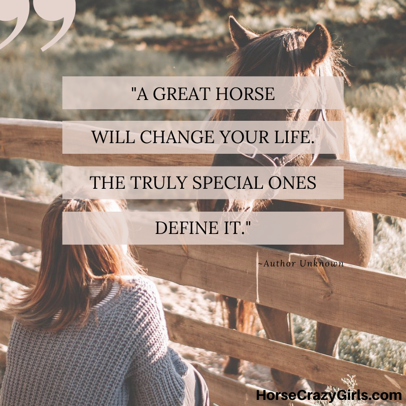 A picture of a girl and a horse on the other side of the fence with the quote "A great horse will change your life. The truly special ones define it."
