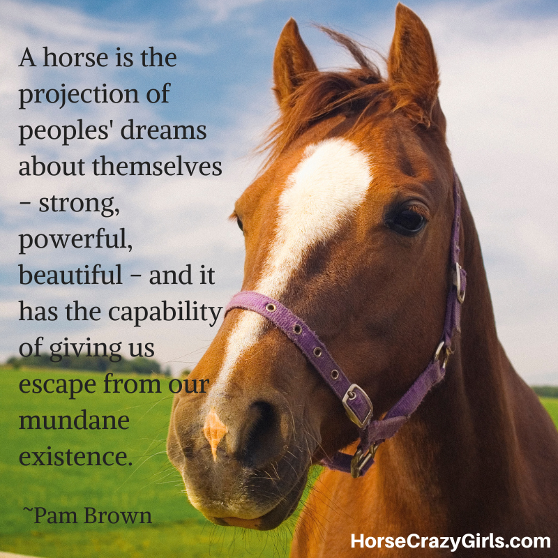 An image of a brown horse on a field with the quote "A horse is the projection of peoples' dreams about themselves-strong, powerful, beautiful... ~Pam Brown