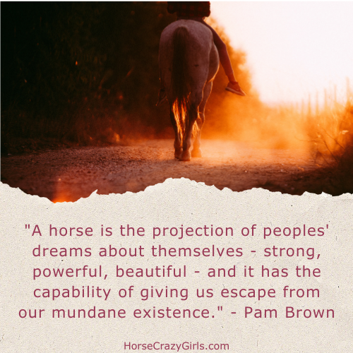 An image of a brown horse on a field with the quote "A horse is the projection of peoples' dreams about themselves-strong, powerful, beautiful... ~Pam Brown