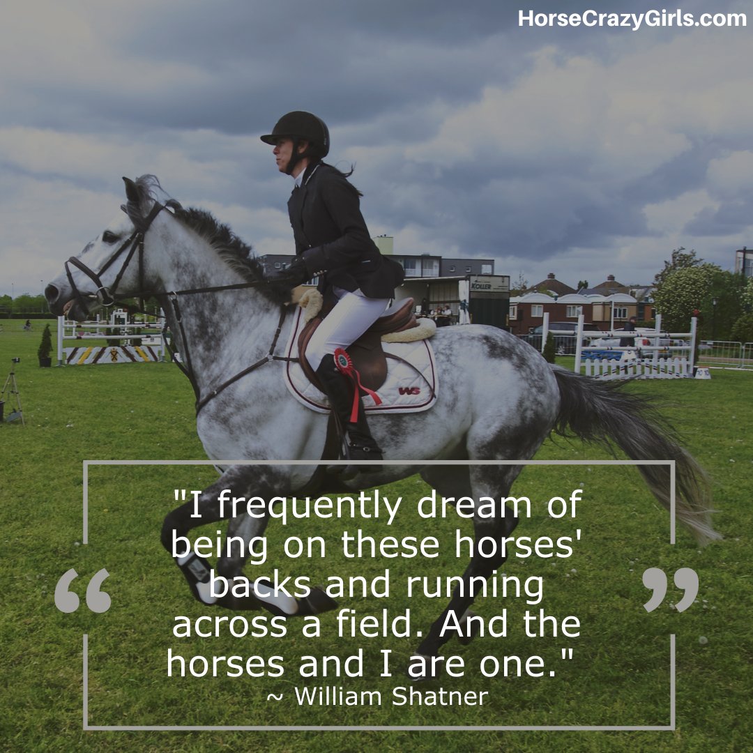A picture of a girl riding a white horse  with the quote "I frequently dream of being on these horses' backs and running across a field. And the horses and I are one." ~William Shatner