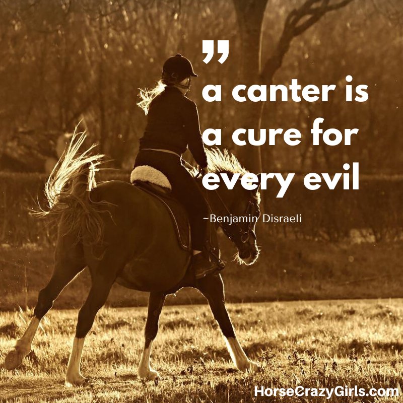 A picture of a girl on a horse with the quote "A canter is a cure for every evil." ~Benjamin Disraeli