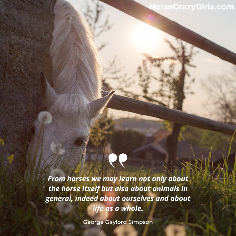 A whote horse eating grass with the quote “From horses we may learn not only about the horse itself but also about animals in general, indeed about ourselves and about life as a whole.” ~George Gaylord Simpson