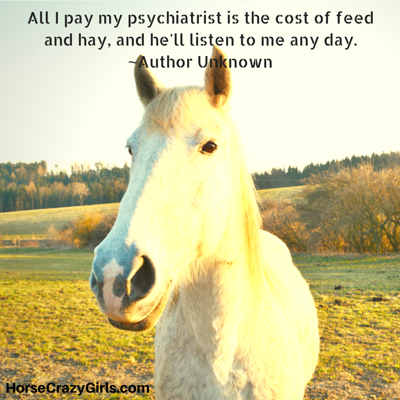 A picture of a horse's face with the quote "All I pay my psychiatrist is the cost of feed and hay, and he'll listen to me any day" - Author Unknown