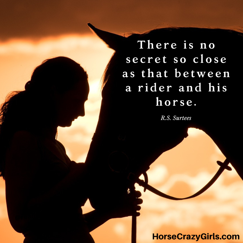 A silhouette of a a girl and a horse with the quote "There is no secret so close as that between a rider and his horse." ~ R.S. Surtees