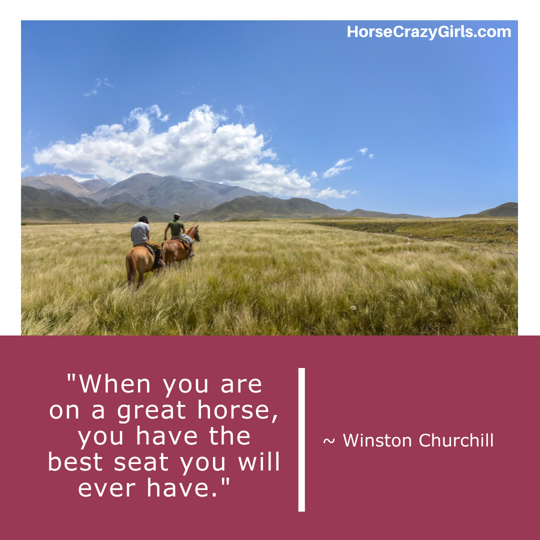 A picture of two people riding two horses in a field with the quote "When you are on a great horse, you have the best seat you will ever have." ~ Winston Churchill