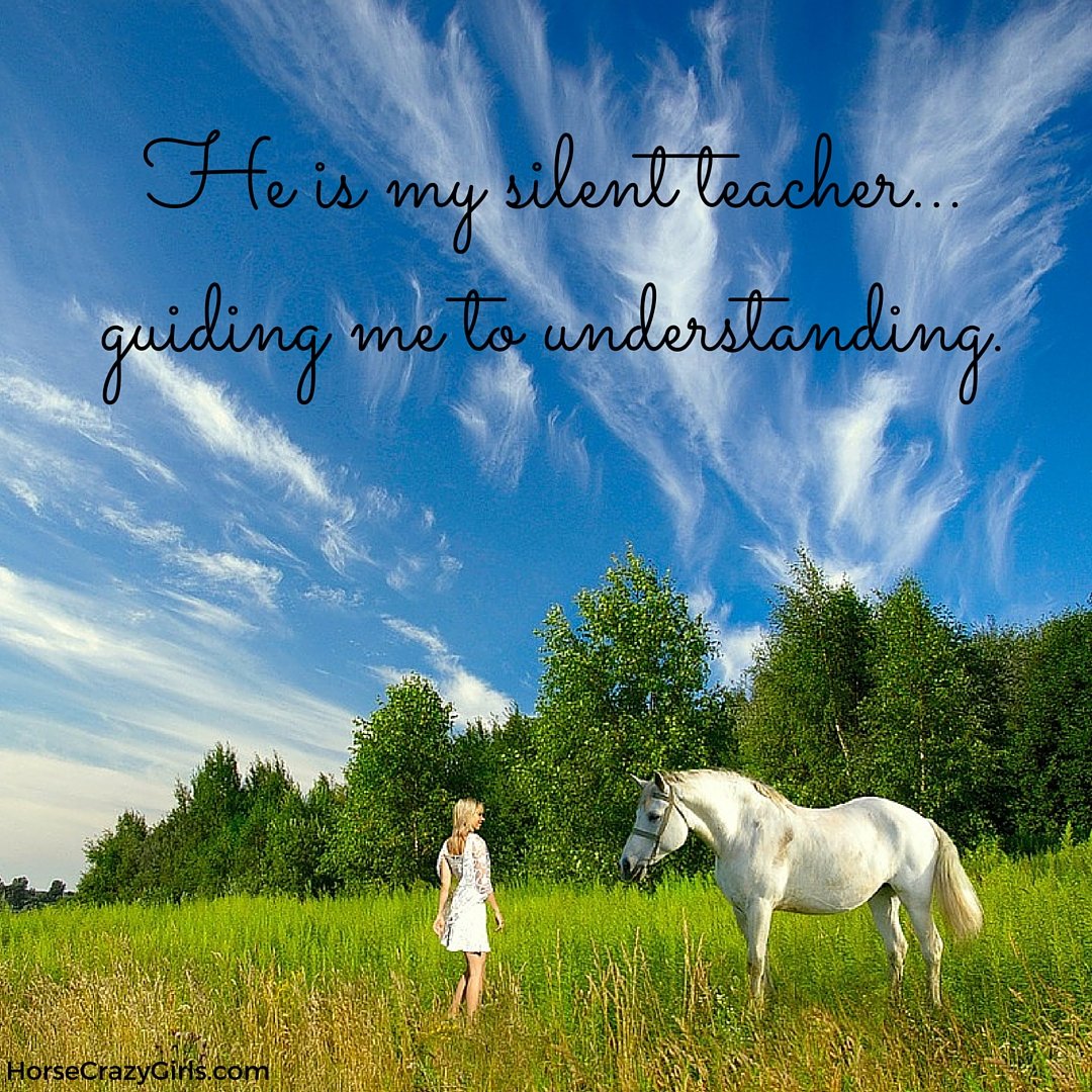 A picture of a girl facing a white horse with the quote that says He is my silent teacher...guiding me to understanding.
