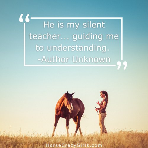 A picture of a girl facing a white horse with the quote that says He is my silent teacher...guiding me to understanding.