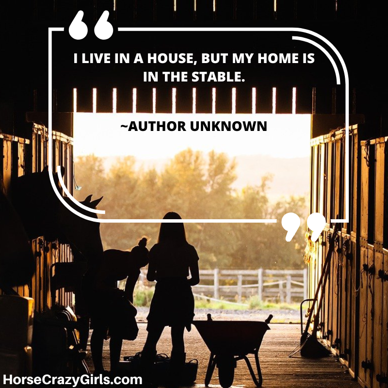 A picture of a girl and two horses in a stable with the quote "I live in a house, but my home is in the stable." -Author Unknown