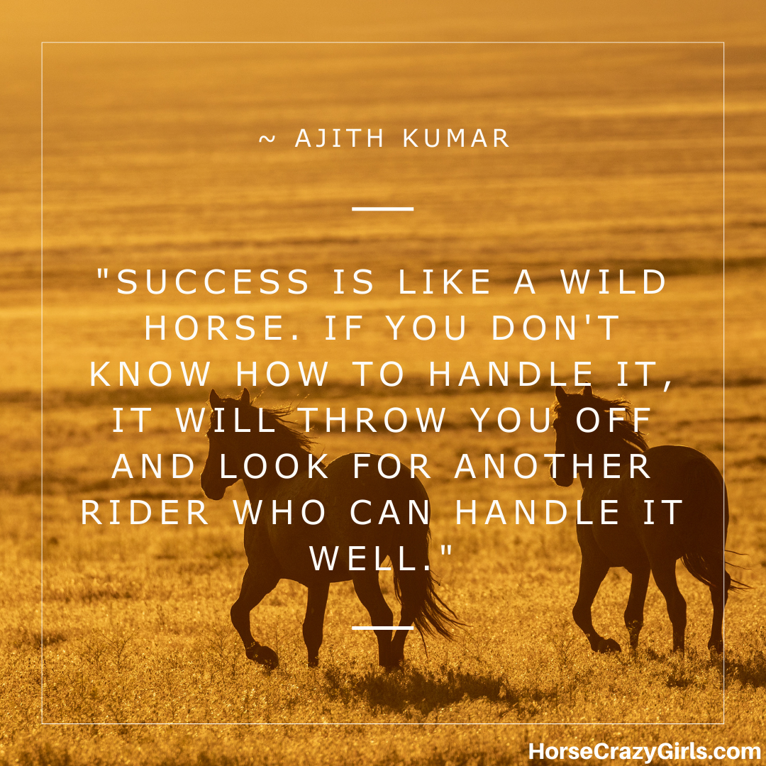A picture of two horses in a field with the quote "Success is like a wild horse. If you don't know how to handle it... ~ Ajith Kumar