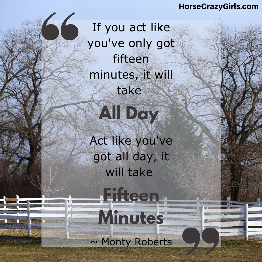 An image of trees beyond a fence with the quote “If you act like you've only got fifteen minutes, it will take all day. Act like you've got all day, it will take fifteen minutes.” ~Monty Roberts