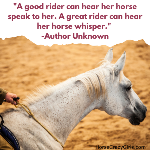 A girl standing with two horses with the quote "A good rider can hear her horse speak to her. A great rider can hear her horse whisper."