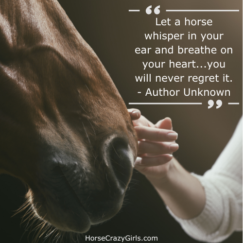 A picture of a young girl petting a horse with the words "Let a horse whisper in your ear and breathe on your heart...you will never regret it." ~ Author Unknown