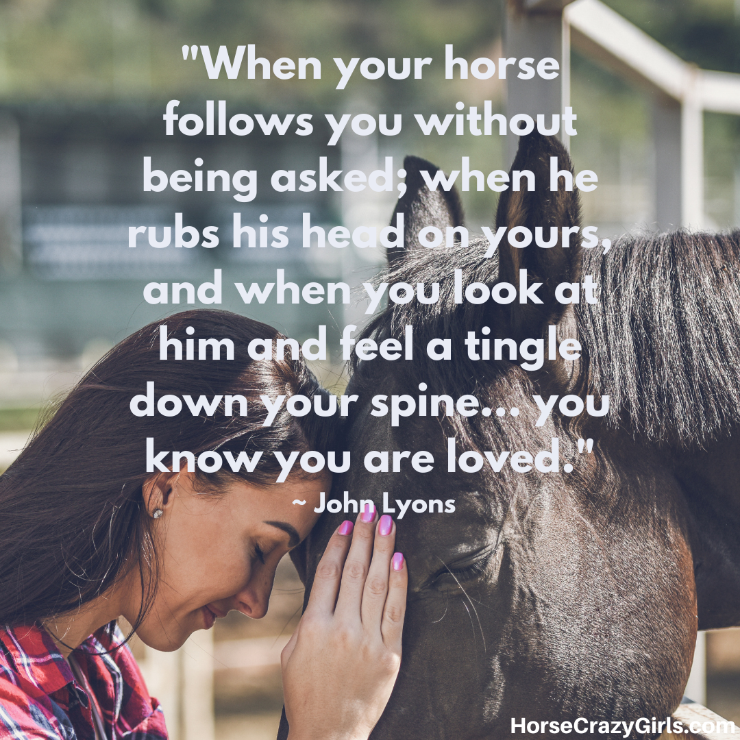 A picture of a girl resting her head on the horse's head with the quote "When your horse follows you without being asked; when he rubs his head on yours..." ~ John Lyons
