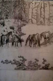 A drawing of five horses at a creek in winter. There are trees, fauna, rocks around the horses.