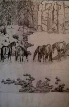 A drawing of five horses at a creek in winter. There are trees, fauna, rocks around the horses.