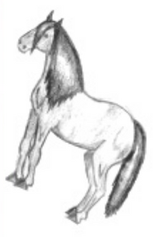 A drawing of a horse standing.