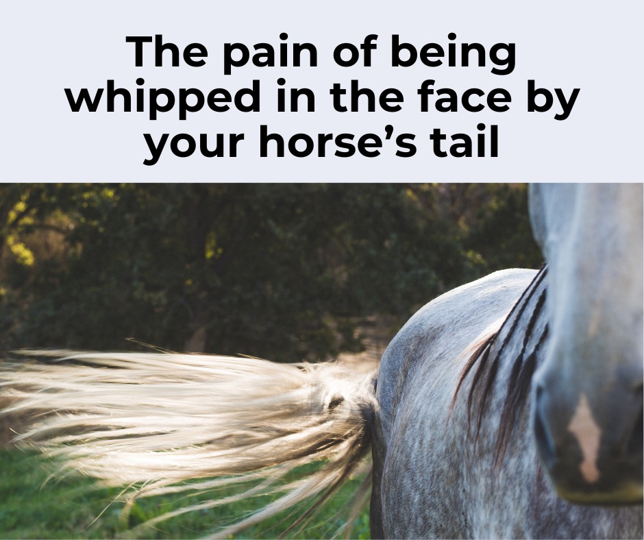 Getting whipped in the face by my horse's tail is so painful and it is especially bad in the cold weather.