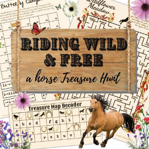Horse Treasure Hunt printable for horse themed party
