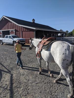 My Grandma's Horse, Cheerio.