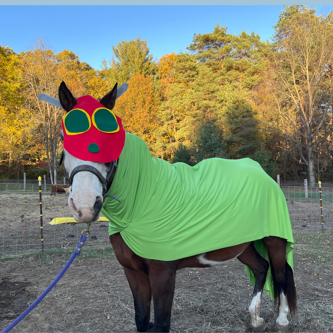 A horse dressed in a costume resembling the character from the book The Very Hungry Caterpillar book 
