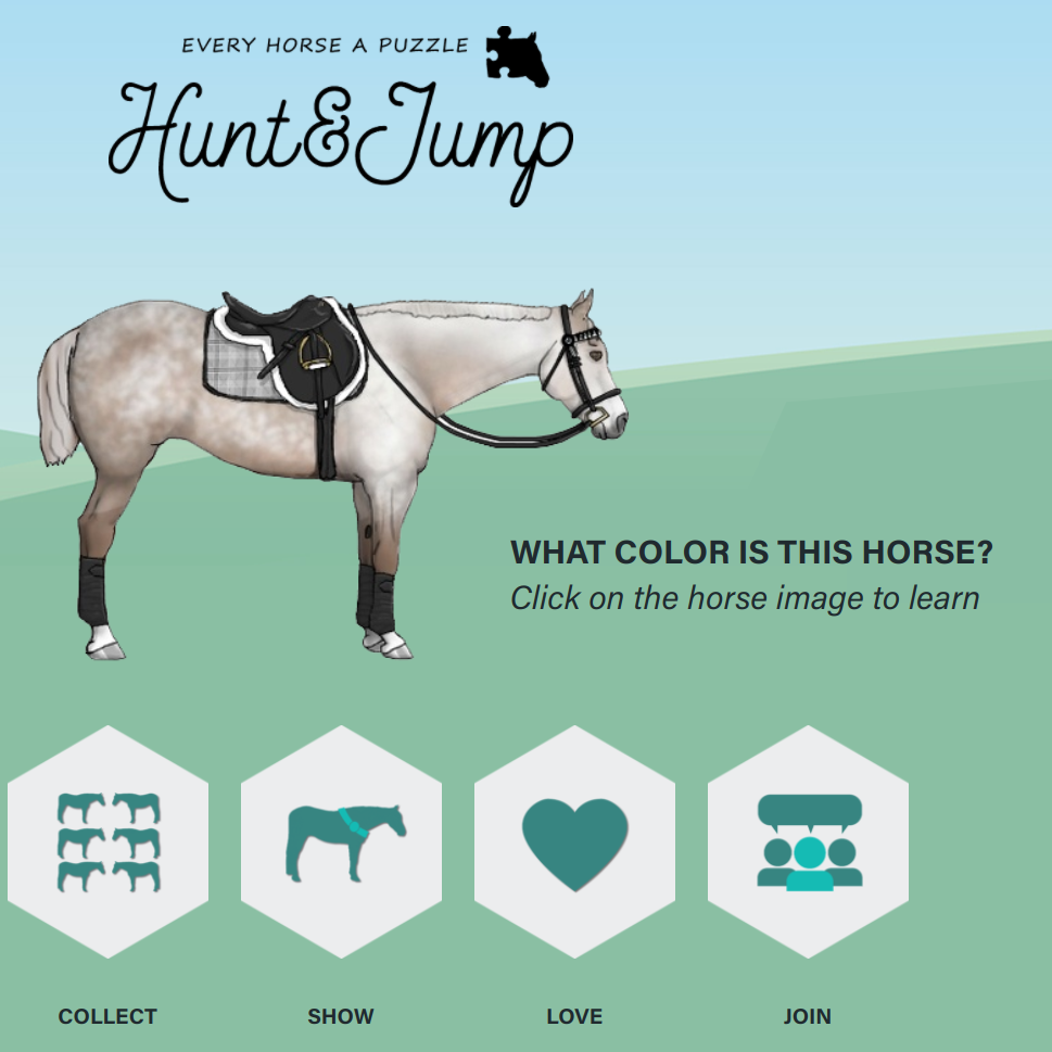 A graphic from the game Hunt & Jump Inc. It shows a dapple grey horse wearing english tack standing in a grassy field. The sky is blue and there is text and buttons on the image.